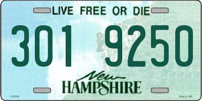 NH license plate 3019250
