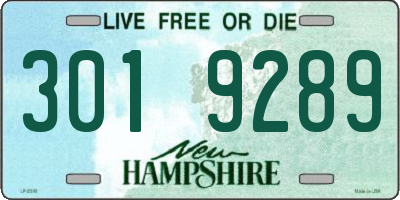 NH license plate 3019289