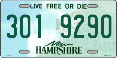 NH license plate 3019290