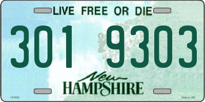 NH license plate 3019303
