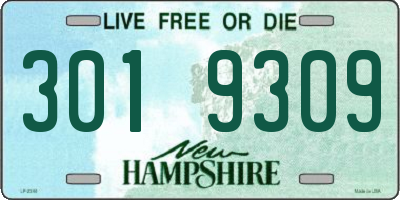 NH license plate 3019309