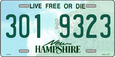 NH license plate 3019323