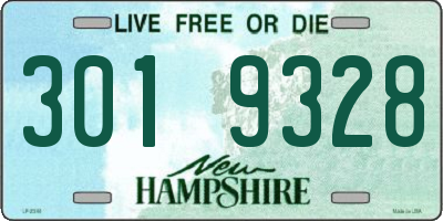 NH license plate 3019328