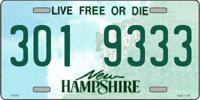 NH license plate 3019333