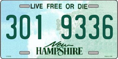 NH license plate 3019336