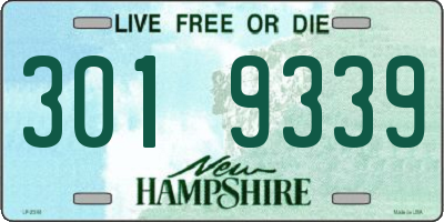 NH license plate 3019339
