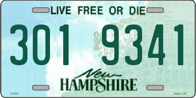 NH license plate 3019341