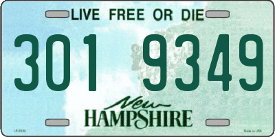 NH license plate 3019349