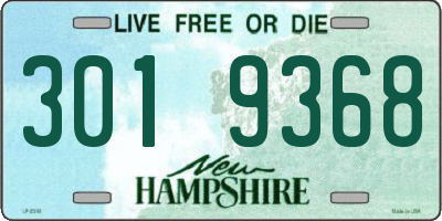 NH license plate 3019368