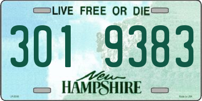 NH license plate 3019383