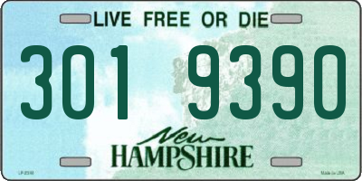 NH license plate 3019390