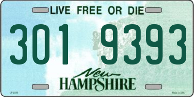 NH license plate 3019393