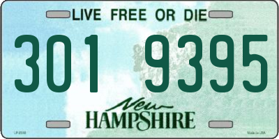 NH license plate 3019395