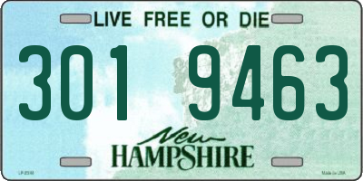 NH license plate 3019463