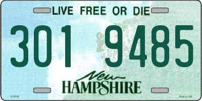 NH license plate 3019485