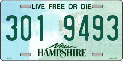 NH license plate 3019493