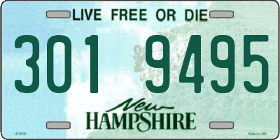 NH license plate 3019495