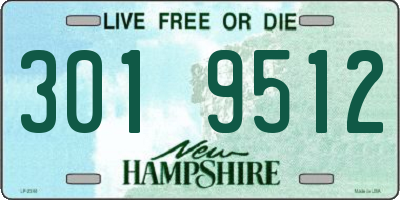 NH license plate 3019512
