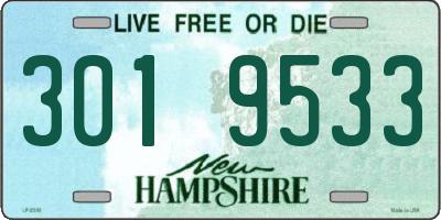 NH license plate 3019533