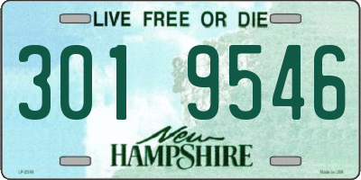 NH license plate 3019546