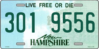 NH license plate 3019556