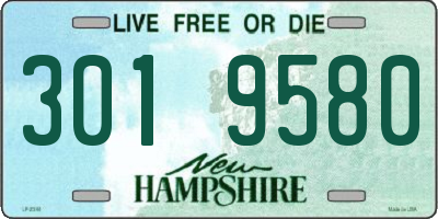 NH license plate 3019580