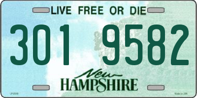 NH license plate 3019582