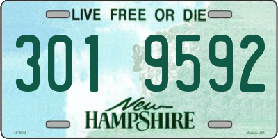 NH license plate 3019592