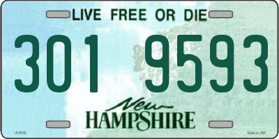 NH license plate 3019593