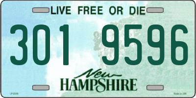 NH license plate 3019596