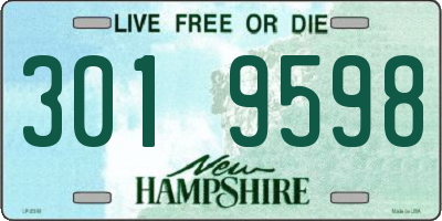 NH license plate 3019598