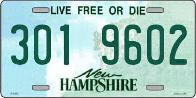 NH license plate 3019602