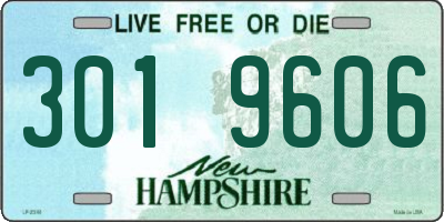 NH license plate 3019606