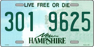 NH license plate 3019625