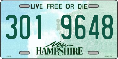 NH license plate 3019648