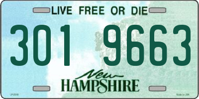 NH license plate 3019663