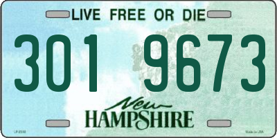 NH license plate 3019673