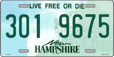 NH license plate 3019675