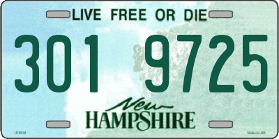 NH license plate 3019725