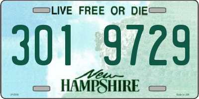 NH license plate 3019729