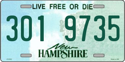 NH license plate 3019735
