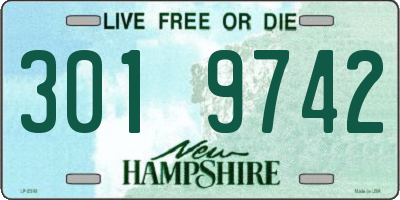 NH license plate 3019742