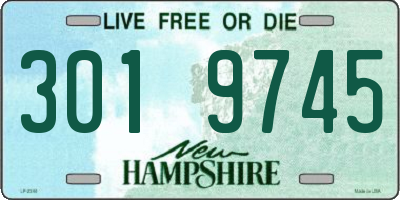 NH license plate 3019745
