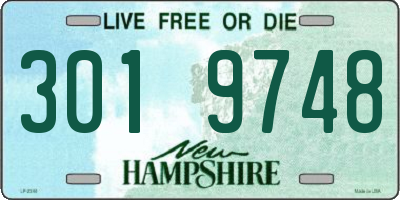 NH license plate 3019748
