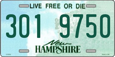 NH license plate 3019750