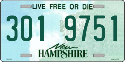 NH license plate 3019751
