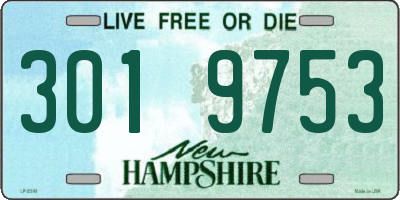 NH license plate 3019753