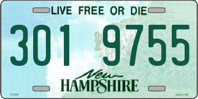 NH license plate 3019755