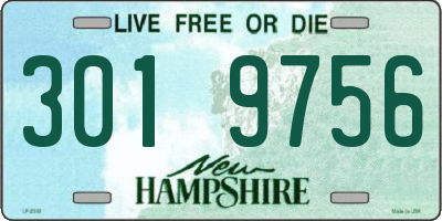 NH license plate 3019756