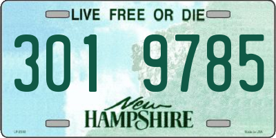 NH license plate 3019785
